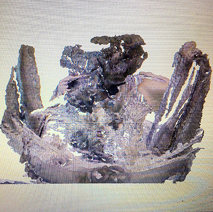 Interrupted 3D scan by artist Paul Coombs